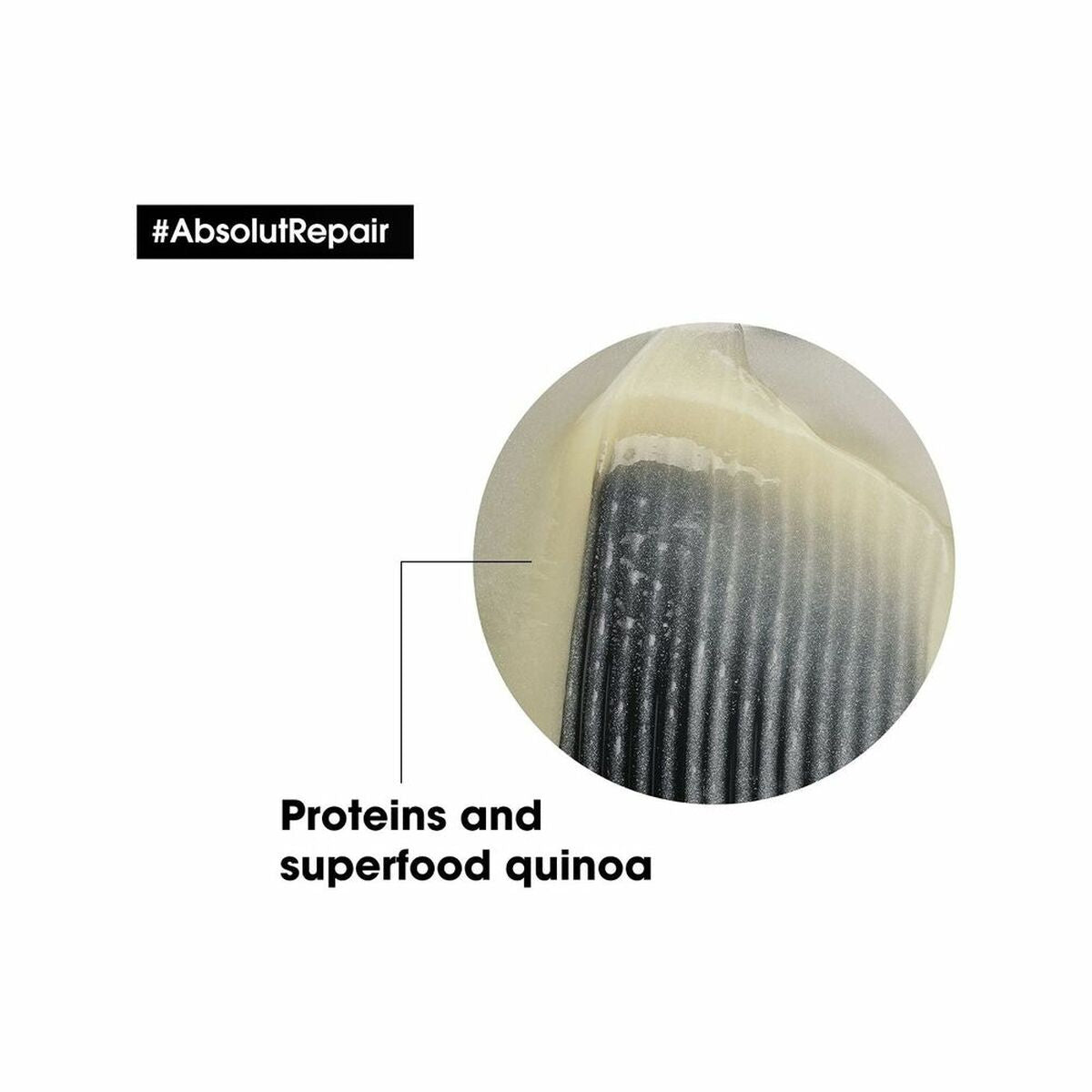 V12HE480BE72A8C78BB19C6EB7F5BD7645CDR3335429P2