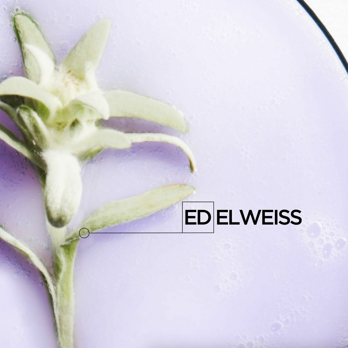 V4H3E0F7DE45D9B7BDCC01B3EC8D668725DR5681312P10