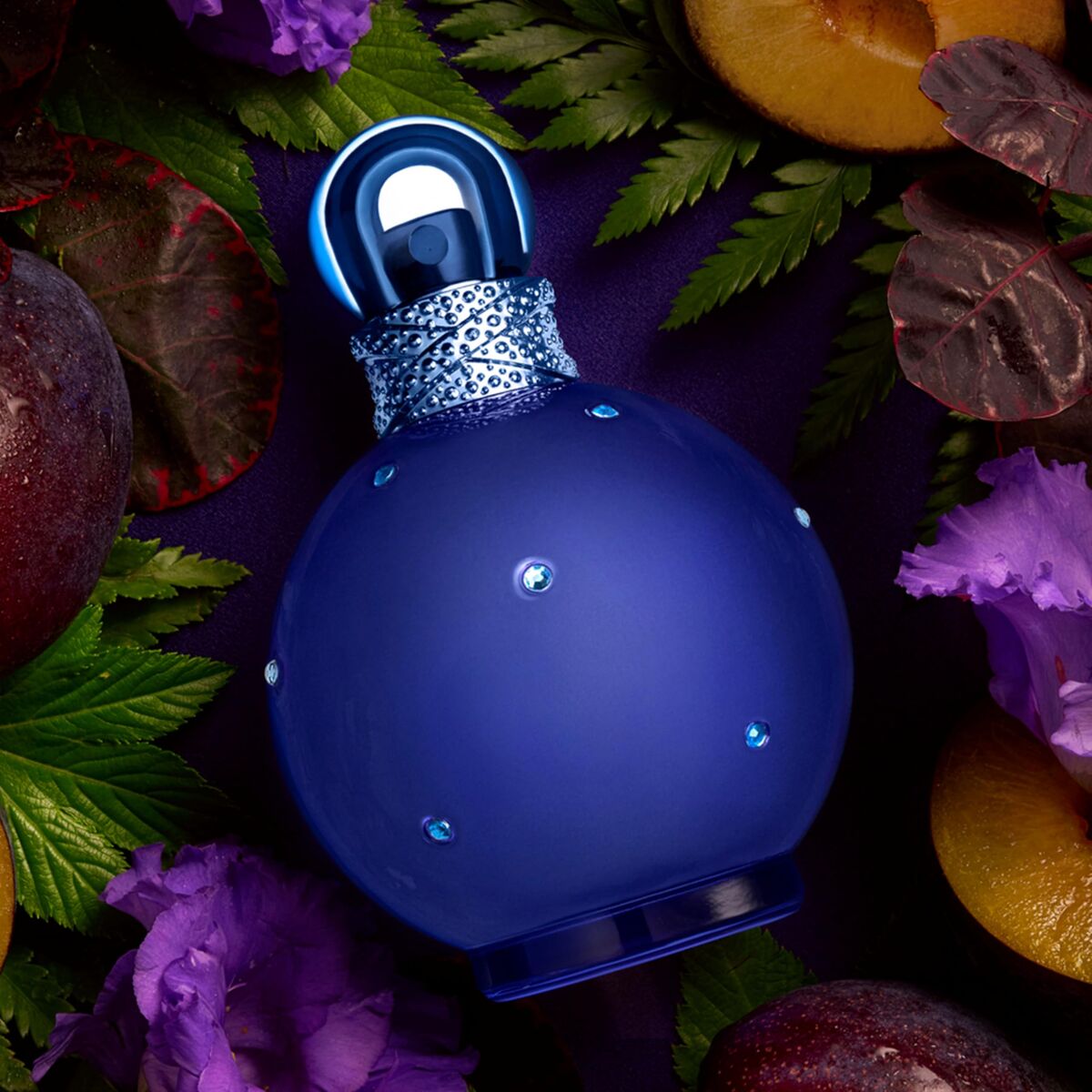 V3H0AB610523C72AAE388A8085542C50BA1R7526097P9