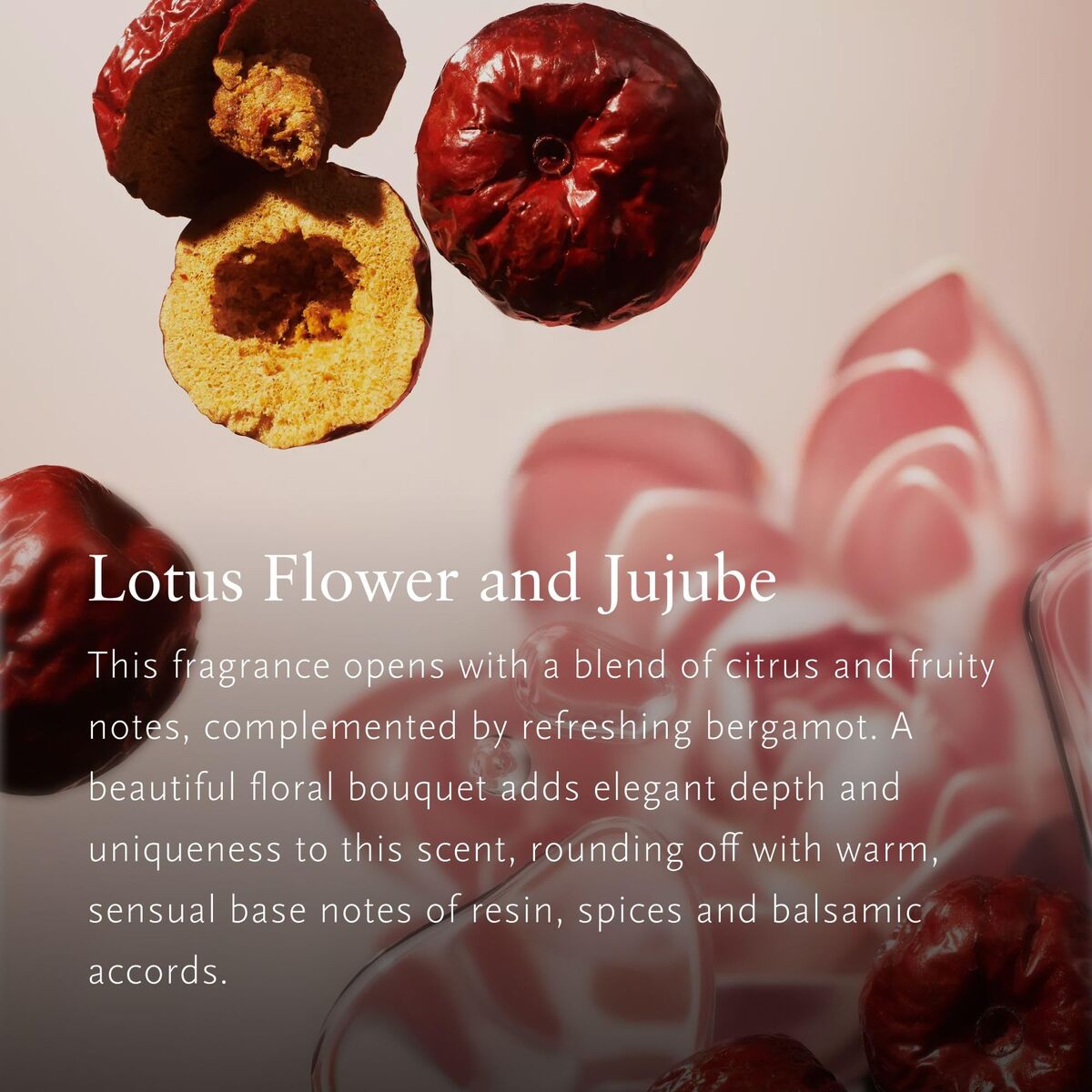 V2HB33C5A8481FC4C0333BA73E9C3CEE3BFR7589554P3