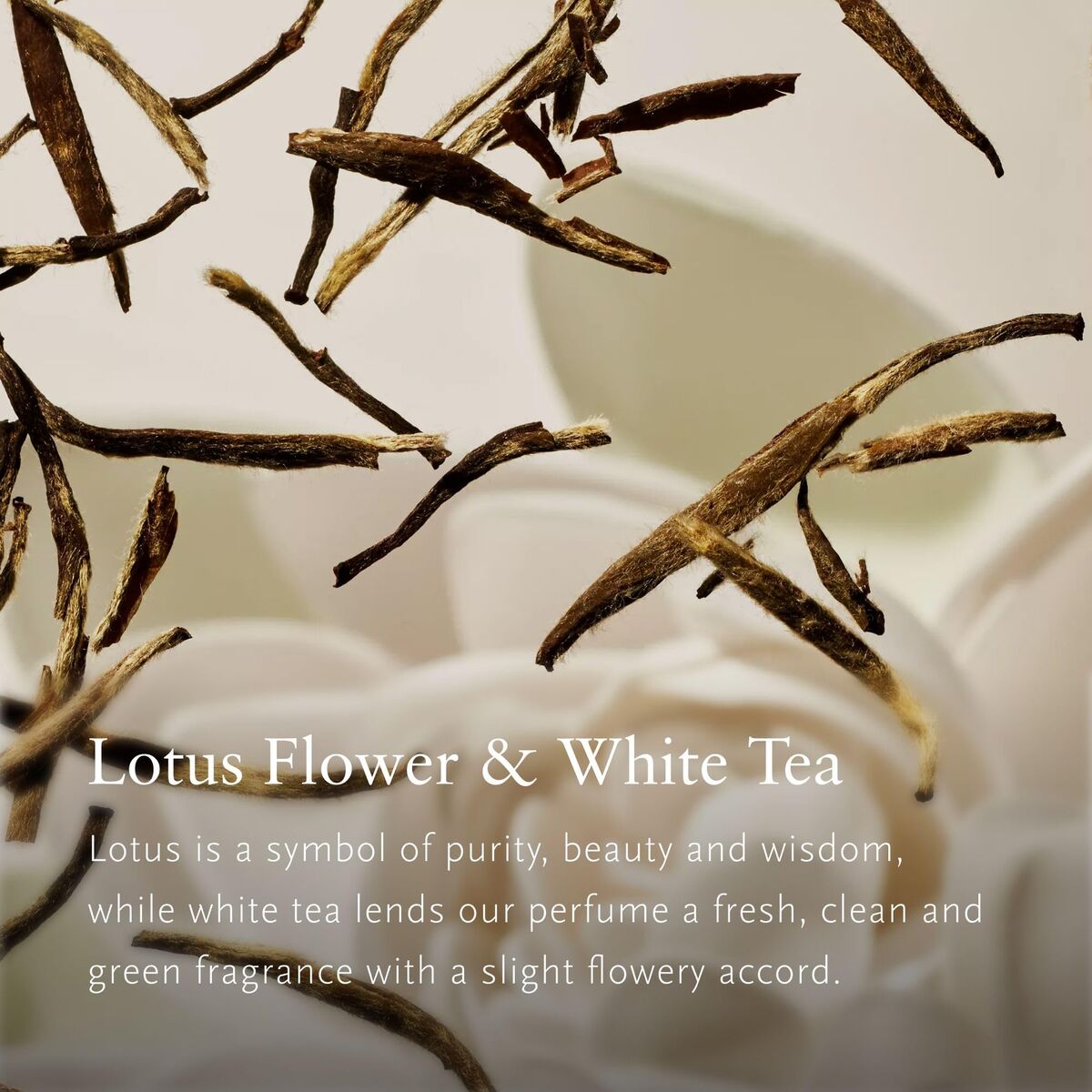 V2H12B5919EE497FDE6FB2BF4E669AE008FR7590631P4